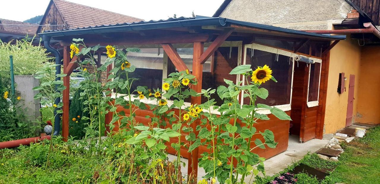 Privat Dano Apartment Lisková Екстериор снимка